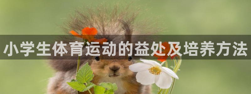 米兰体育官网下载平台注册要钱吗:小学生体育运动的益处及培养方