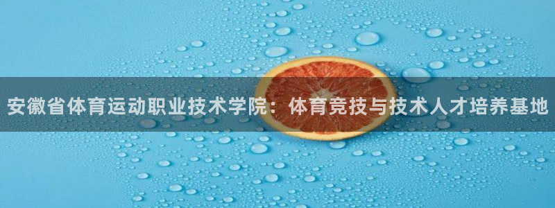 米兰体育官方正版app娱乐首页官网下载:安徽省体育运动职业技