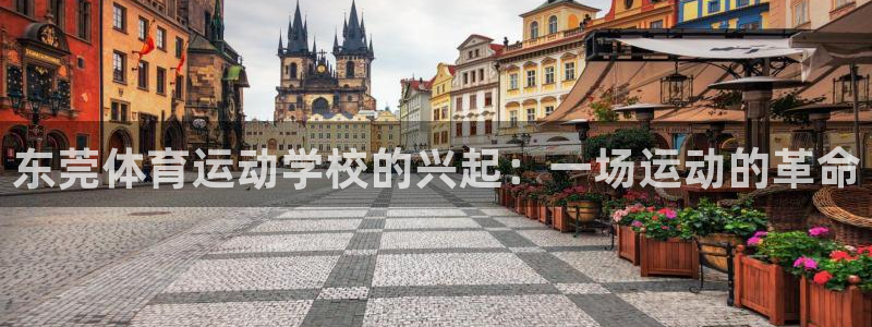 米兰体育官网下载联系电话:东莞体育运动学校的兴起:一场运动的